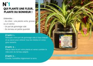 etpe 1 planter une fleur baija