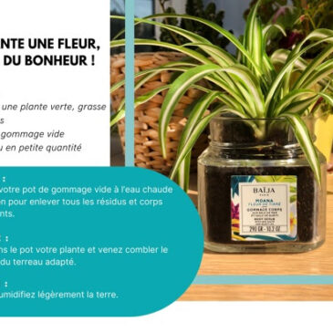 etpe 1 planter une fleur baija