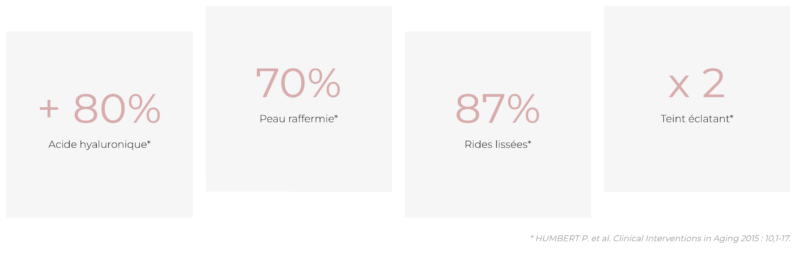 Résultats LPG